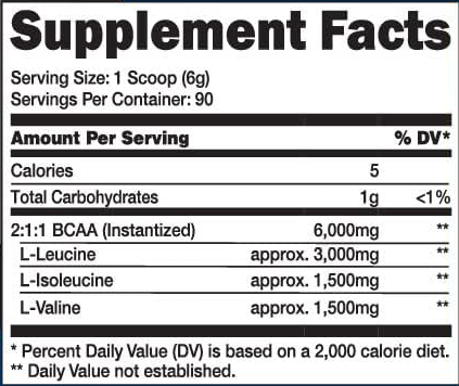 BCAAs INSTANTIZED POWDER | 540 GRAMS (3 MONTH SUPPLY) | UNFLAVORED